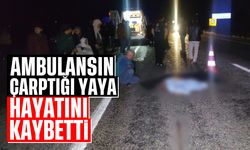 Ambulansın çarptığı yaya hayatını kaybetti