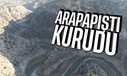 Arapapıştı kurudu