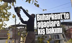 Buharkent’te ağaçlara kış bakımı