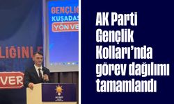 AK Parti Gençlik Kolları'nda görev dağılımı tamamlandı