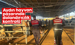 Aydın hayvan pazarında ’dolandırıcılık’ kontrolü