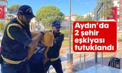 Aydın'da 2 şehir eşkiyası tutuklandı