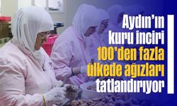 Aydın’ın kuru inciri 100’den fazla ülkede ağızları tatlandırıyor