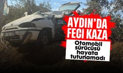 Aydın'da feci kaza: Otomobil sürücüsü hayata tutunamadı