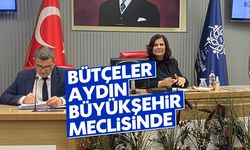 Bütçeler, Aydın Büyükşehir Meclisi'nde