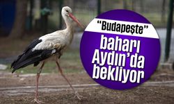 'Budapeşte' baharı Aydın'da bekliyor