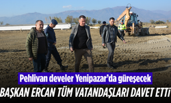 Pehlivan develer, Yenipazar'da güreşecek: Başkan Ercan, tüm vatandaşları davet etti