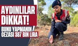 Aydınlılar dikkat: Bunu yapmanın cezası 387 bin lira...