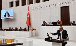 'İncirin kalbinin hançerlenmesine göz yummayın'