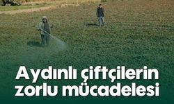 Aydınlı çiftçilerin zorlu mücadelesi