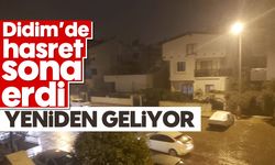 Didim'de hasret sona erdi: Yeniden geliyor