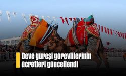 Deve güreşi görevlilerinin ücretleri güncellendi