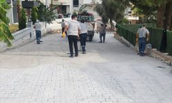 Didim yol çalışmaları devam ediyor