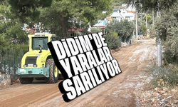 Didim'de yaralar sarılıyor