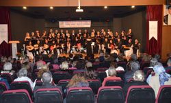 DİMDER'den TSM konseri