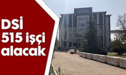 DSİ, 515 işçi alacak