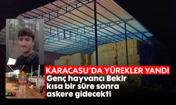 Karacasu'da yürekler yandı: Genç hayvancı Bekir, kısa bir süre sonra askere gidecekti