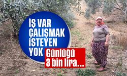 İş var çalışan yok; Günlüğü 3 bin lira...