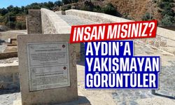 İnsan mısınız? Aydın'a yakışmayan görüntüler