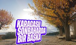 Karacasu sonbaharda bir başka