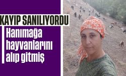 Kayıp sanılıyordu! Hanımağa hayvanlarını alıp gitmiş...