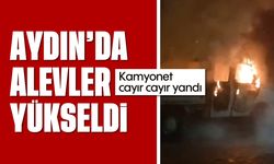 Aydın'da alevler yükseldi: Kamyonet cayır cayır yandı