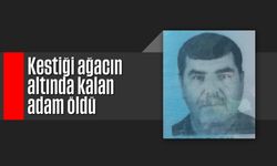 Kestiği ağacın altında kalan adam öldü