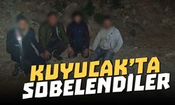 Kuyucak'ta sobelendiler