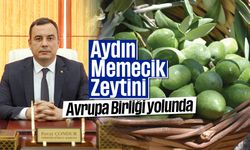 Aydın Memecik Zeytini, Avrupa Birliği yolunda