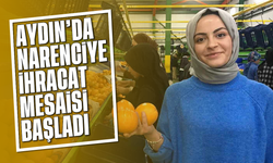 Aydın'da narenciye ihracat mesaisi başladı