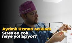 Aydınlı uzman açıkladı: Stres en çok neye yol açıyor...