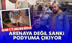 150 bin TL’ye süslenen develer, arenaya değil sanki podyuma çıkıyor