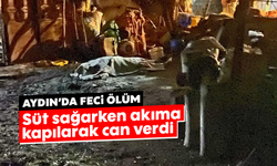 Aydın’da feci ölüm: Süt sağarken akıma kapılarak can verdi