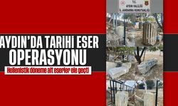 Aydın’da tarihi eser operasyonu