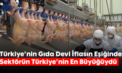 Türkiye'nin Gıda Devi İflasın Eşiğinde: Sektörün Türkiye'nin En Büyüğüydü