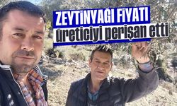 Zeytinyağı fiyatı, üreticiyi perişan etti