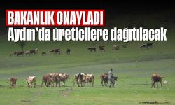 Bakanlık onayladı: Aydın’da üreticilere dağıtılacak