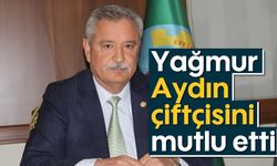 Yağmur, Aydın çiftçisini mutlu etti