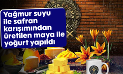 Yağmur suyu ile safran karışımından üretilen maya ile yoğurt yapıldı