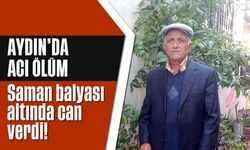 Aydın'da acı ölüm: Saman balyası altında can verdi!