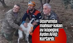 Uçurumda mahsur kalan av köpeğini Aydın AFAD kurtardı