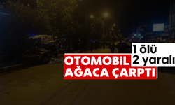 Otomobil ağaca çarptı: 1 ölü 2 yaralı