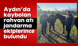 Aydın'da kaybolan rahvan atı, jandarma ekiplerince bulundu