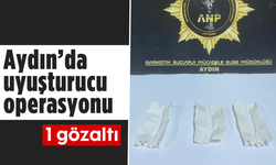 Aydın’da uyuşturucu operasyonu, 1 gözaltı