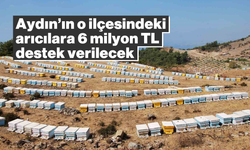 Aydın'ın o ilçesindeki arıcılara 6 milyon TL destek verilecek