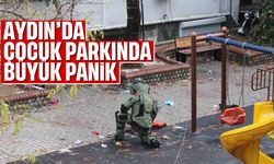 Aydın'da çocuk parkında büyük panik