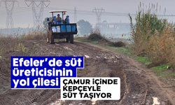 Efeler’de süt üreticisinin yol çilesi: Çamur içinde kepçeyle süt taşıyor