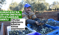 Karacasu'da zeytin üreticisi fiyatlardan dertli: "Çiftçiler ağaçlarını keserse kimse şaşırmasın"