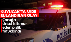 Kuyucak’ta mide bulandıran olay: Çocuğa cinsel istismar eden pislik tutuklandı