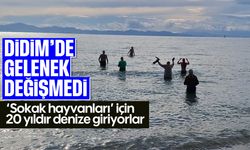 Didim'de gelenek değişmedi: "Sokak hayvanları" için 20 yıldır denize giriyorlar